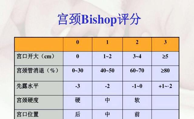 最新宫颈评分表解读及应用指南