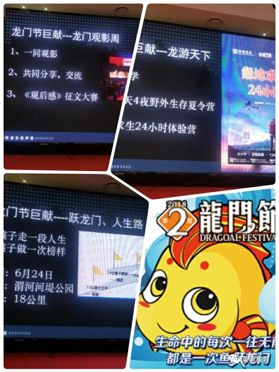 澳门最准最精准龙门客栈资料下载,诠释解析落实_ios2.97.118